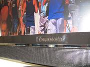 IFA-2008 067